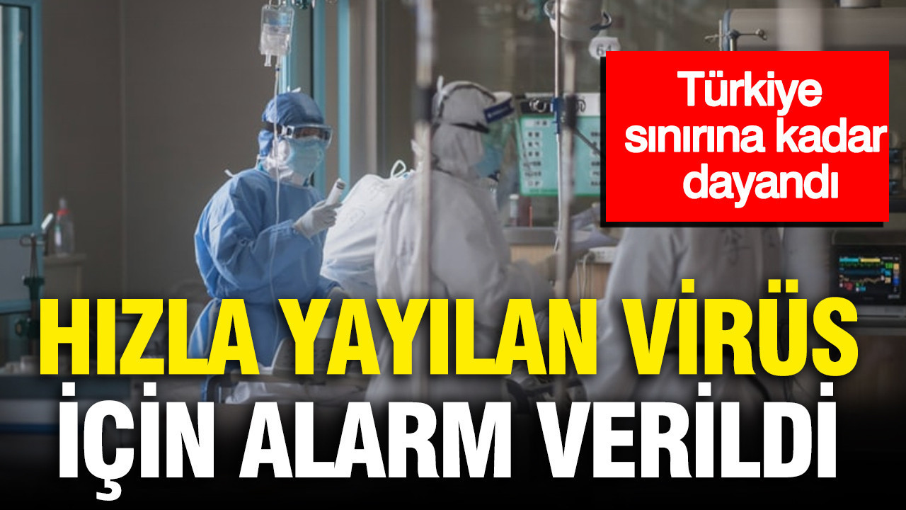 Türkiye sınırına kadar dayandı: Hızla yayılan virüs için alarm verildi